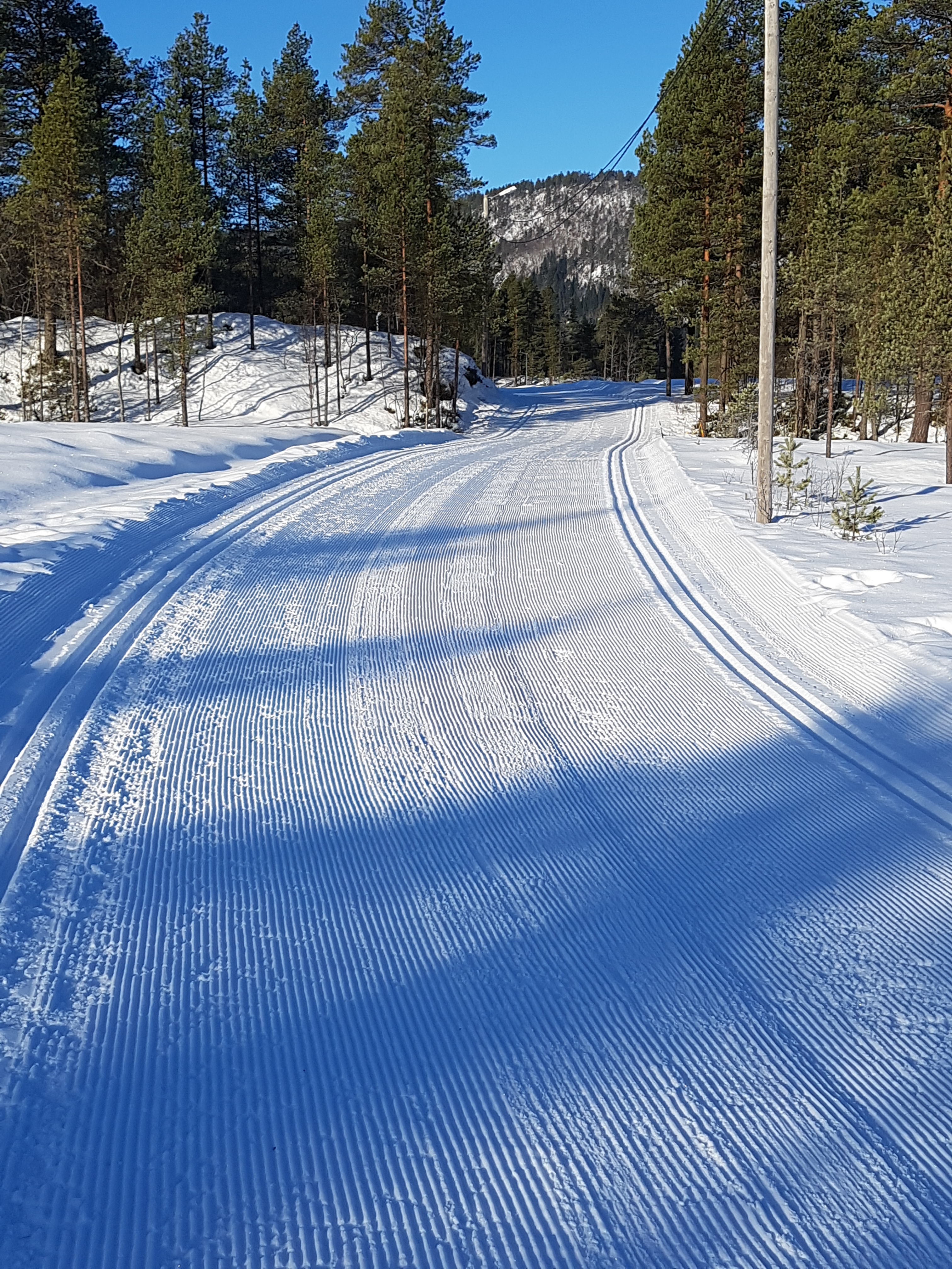 Barn i Løypa 2024 starter tirsdag 9. januar